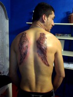 /album/resim-galerisi/a2013-03-01-173-jpg/