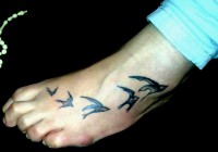 /album/resim-galerisi/a542051-10150977459583489-333739172-n-jpg/