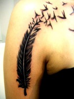 /album/resim-galerisi/sdc15150-jpg/