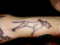 /album/resim-galerisi/sdc15253-jpg/