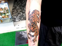 /album/resim-galerisi/sdc15525-jpg/