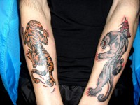 /album/resim-galerisi/sdc15531-jpg/