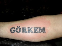 /album/resim-galerisi/sdc15613-jpg/