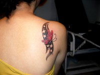 /album/resim-galerisi/sdc15615-jpg/