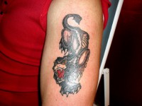 /album/resim-galerisi/sdc15651-jpg/