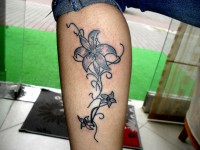 /album/resim-galerisi/sdc15765-jpg/