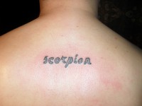 /album/resim-galerisi/sdc15767-jpg/