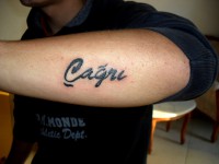 /album/resim-galerisi/sdc15773-jpg/