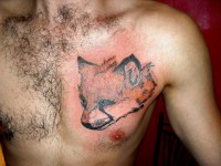 /album/resim-galerisi/sdc16541-jpg/