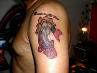 /album/resim-galerisi/sdc16543-jpg/