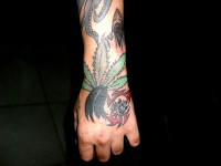 /album/resim-galerisi/sdc16570-jpg/