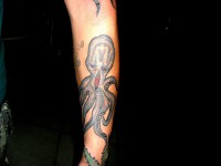 /album/resim-galerisi/sdc16572-jpg/