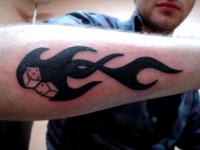 /album/resim-galerisi/zar-dovmesi-jpg/