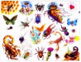 /album/tattoo/caterpilar-scorpio-spider-bee-buterfly-tattoo-design-jpg/